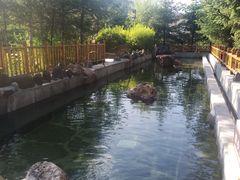 -汉拿山温泉度假酒店