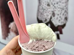 -红楼HONGLOU Gelato(淮海中路店)