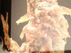 -城南往事·鲁菜济南菜(长清园博园恒大绿洲店)