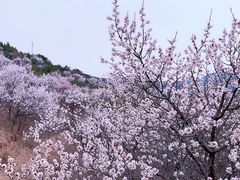 -龙泉峪长城
