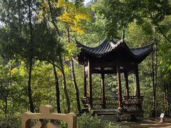 -大慈岩风景区