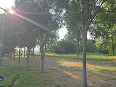 -汉长安城未央宫国家考古遗址公园