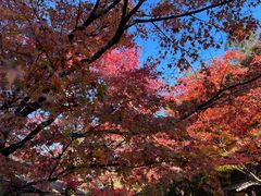 -三千院