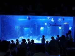 -台州海洋世界