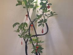 -涟LIAN·泰式按摩·MASSAGE·SPA(深业上城店)