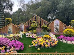 -上海共青森林公园