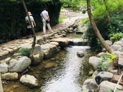 -黄花溪