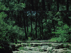 -阳台山自然风景区