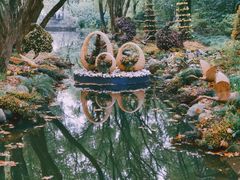 -上海共青森林公园