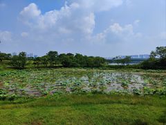 -盘龙城国家考古遗址公园