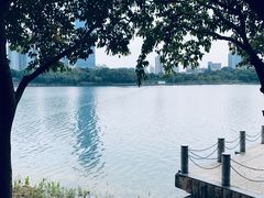 -南宁南湖公园
