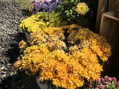 -上海植物园-4号门售票处