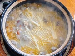 -15年老字号鑫鑫猪肚鸡·椰子鸡海南火锅(兴隆华侨农场店)