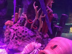 -沈阳海洋探索中心