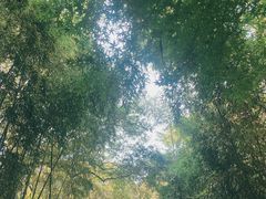 -兰亭风景区