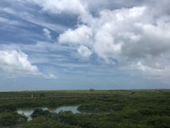 -北海金海湾红树林生态旅游区