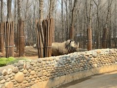 -北京野生动物园