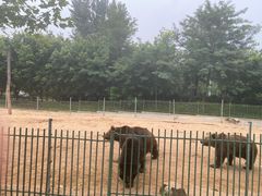 -秦皇岛野生动物园