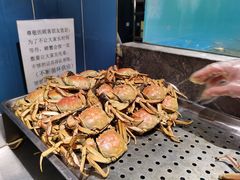 -禾斗海鲜自助(市南银座店)
