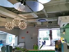 -探窝·竹笙椰子鸡(杨箕店)