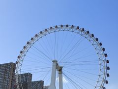 -海河游船-永乐码头(大悲院)