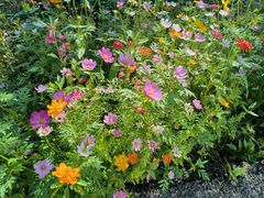 -东钱湖旅游度假区