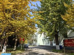 -辽东学院(南校区)