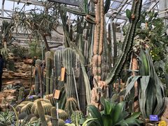 -国家植物园南园