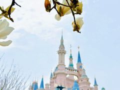 -上海迪士尼度假区