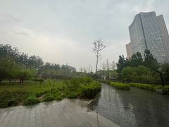 -大望京公园