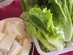 -麻奢鸽农庄·梦里水乡