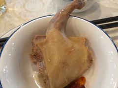 -一煲鸽