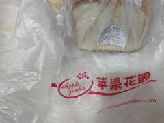 -苹果花园(桂林路店)