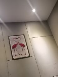 -心联形象设计·流星染
