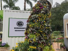 -深圳仙湖植物园