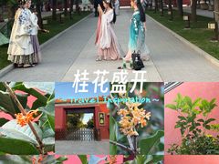 -北京市劳动人民文化宫(太庙)