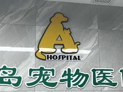 -半岛宠物医院24小时(白果林店)