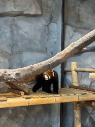 -Zoolung Zoolung动物主题公园(海信广场店)