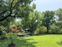 -申粤轩酒楼·三十年粤菜经典(丁香花园店)