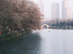 -包公祠