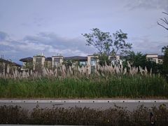 -庾园