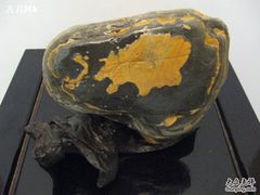 -汉江公园