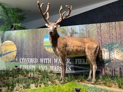 -溱湖国家湿地公园