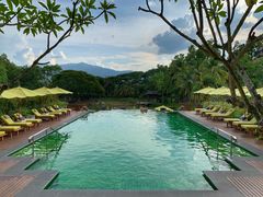 -四季酒店下午茶