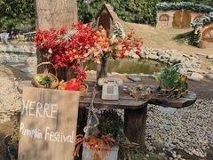 -HERRE·FARM 赫尔露营农场·团建聚会包场