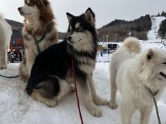 -长白山万达国际滑雪场