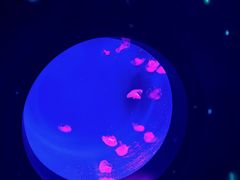 -沈阳海洋探索中心