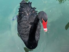 -春风习习