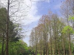 -中国湿地博物馆