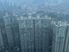 -上海龙之梦万丽酒店